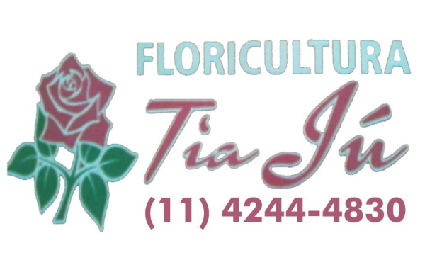 Floricultura Tia Ju - Flores, decorações e presentes