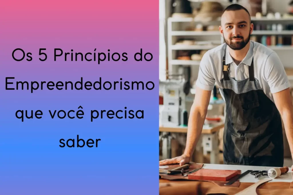 Empreendedorismo | Quem é um empreendedor? | Os 5 Princípios do Empreendedorismo que você precisa saber