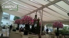Campus Coberturas